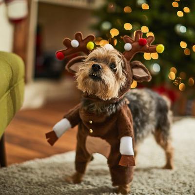 Show full view: Frisco Front Walking Reindeer Dog & Cat Costume, 1 count, Medium slide 7 of 10
