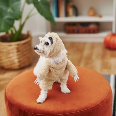 Show full view: Frisco Front Walking Sloth Dog & Cat Costume, XX-Large slide 7 of 8