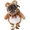 Show in main carousel: Frisco Front Walking Teddy Bear Dog & Cat Costume, X-Large slide 1 of 10