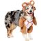 Show in main carousel: Frisco Front Walking Teddy Bear Dog & Cat Costume, XX-Large slide 4 of 9