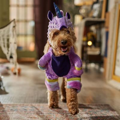 Show full view: Frisco Front Walking Unicorn Dog & Cat Costume, Large slide 7 of 9