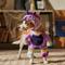 Show in main carousel: Frisco Front Walking Unicorn Dog & Cat Costume, Medium slide 8 of 10