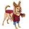 Show in main carousel: Frisco Front Walking Werewolf Dog & Cat Costume, X-Large slide 4 of 9