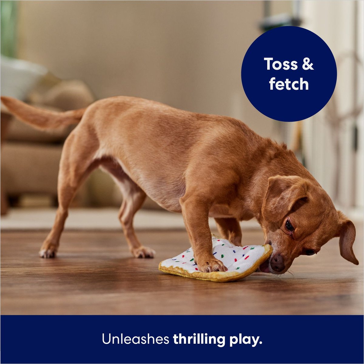 Frisco Frosted Pastry Stuffing-Free Flat Plush Squeaky Dog Toy