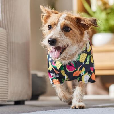 Show full view: Frisco Fruit Punch Camp Dog & Cat Shirt, Black, Large slide 7 of 10