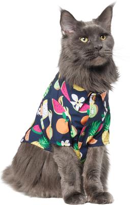 Show full view: Frisco Fruit Punch Camp Dog & Cat Shirt, Black, Medium slide 3 of 11