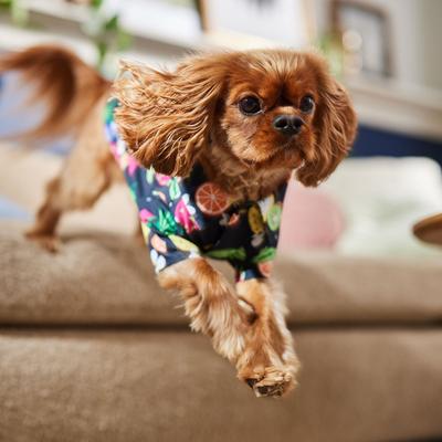 Show full view: Frisco Fruit Punch Camp Dog & Cat Shirt, Black, Medium slide 8 of 11