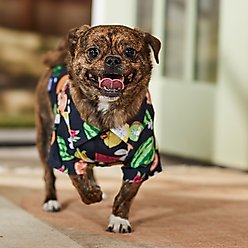 Frisco Fruit Punch Camp Dog & Cat Shirt, Black, Small slide 2 of 9