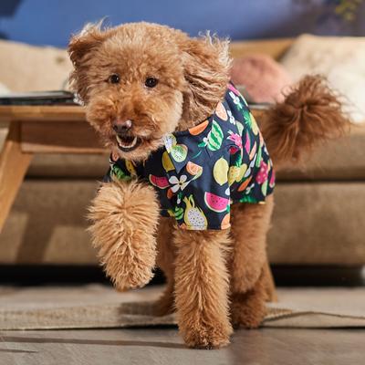 Show full view: Frisco Fruit Punch Camp Dog & Cat Shirt, Black, X-Large slide 7 of 10