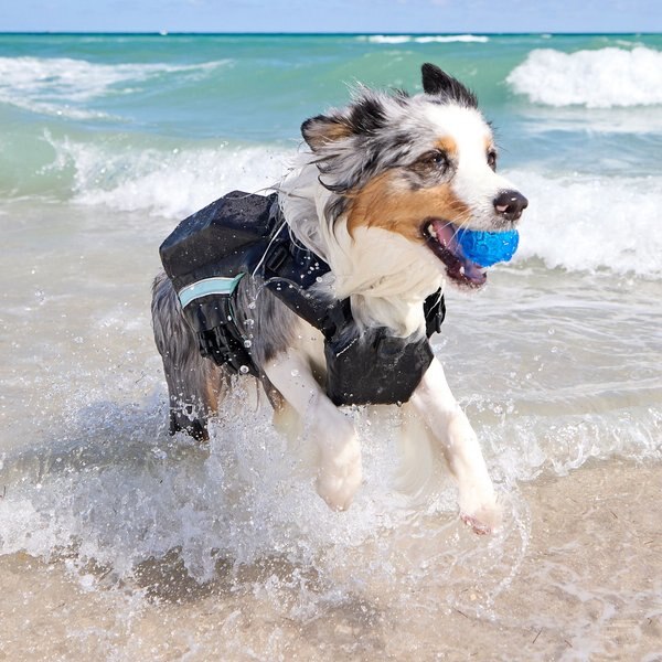 Frisco Full Coverage Dog Life Jacket