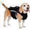 Show in main carousel: Frisco Full Coverage Dog Life Jacket, Blue/Black, Small slide 1 of 10