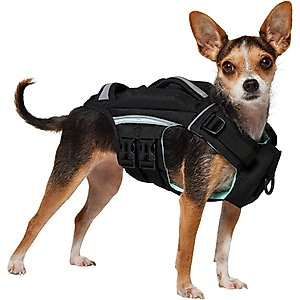 Frisco Full Coverage Dog Life Jacket, Blue/Black, X-Small