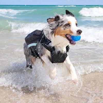 Show full view: Frisco Full Coverage Dog Life Jacket, Blue/Black, X-Small slide 8 of 10