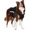 Show in main carousel: Frisco Full Coverage Dog Life Jacket, Blue/Black, XX-Large/XXX-Large slide 1 of 10