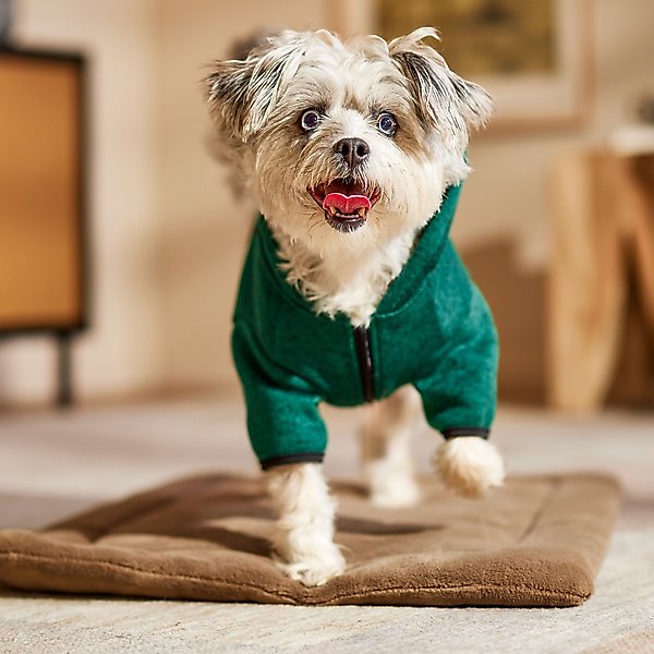 Show full view: Frisco Full Zip Dog & Cat Sweater Fleece Hoodie, Green, Medium slide 8 of 12