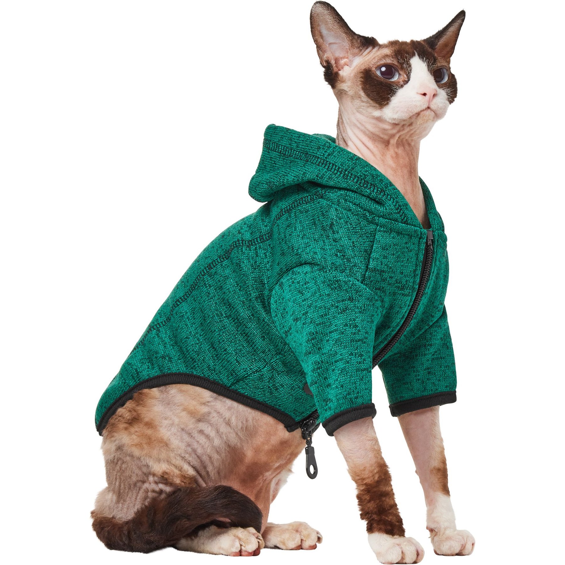 Frisco Full Zip Dog & Cat Sweater Fleece Hoodie, Green, X-Small