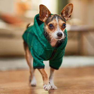 Show full view: Frisco Full Zip Dog & Cat Sweater Fleece Hoodie, Green, X-Small slide 9 of 13
