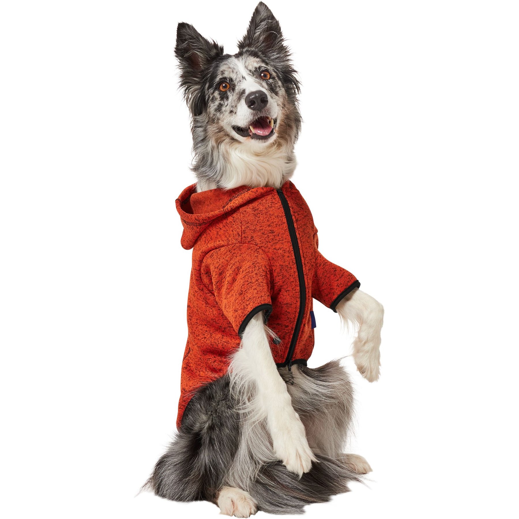 Frisco Full Zip Dog & Cat Sweater Fleece Hoodie, Orange, Large