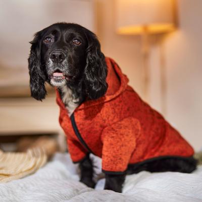 Show full view: Frisco Full Zip Dog & Cat Sweater Fleece Hoodie, Orange, Large slide 7 of 11