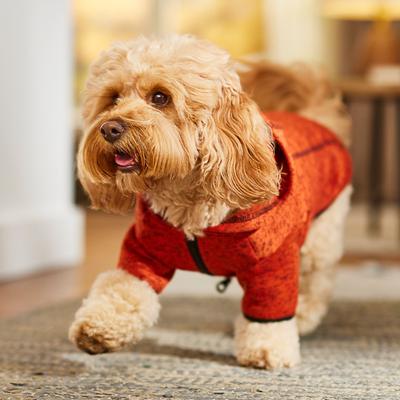 Show full view: Frisco Full Zip Dog & Cat Sweater Fleece Hoodie, Orange, Medium slide 8 of 12