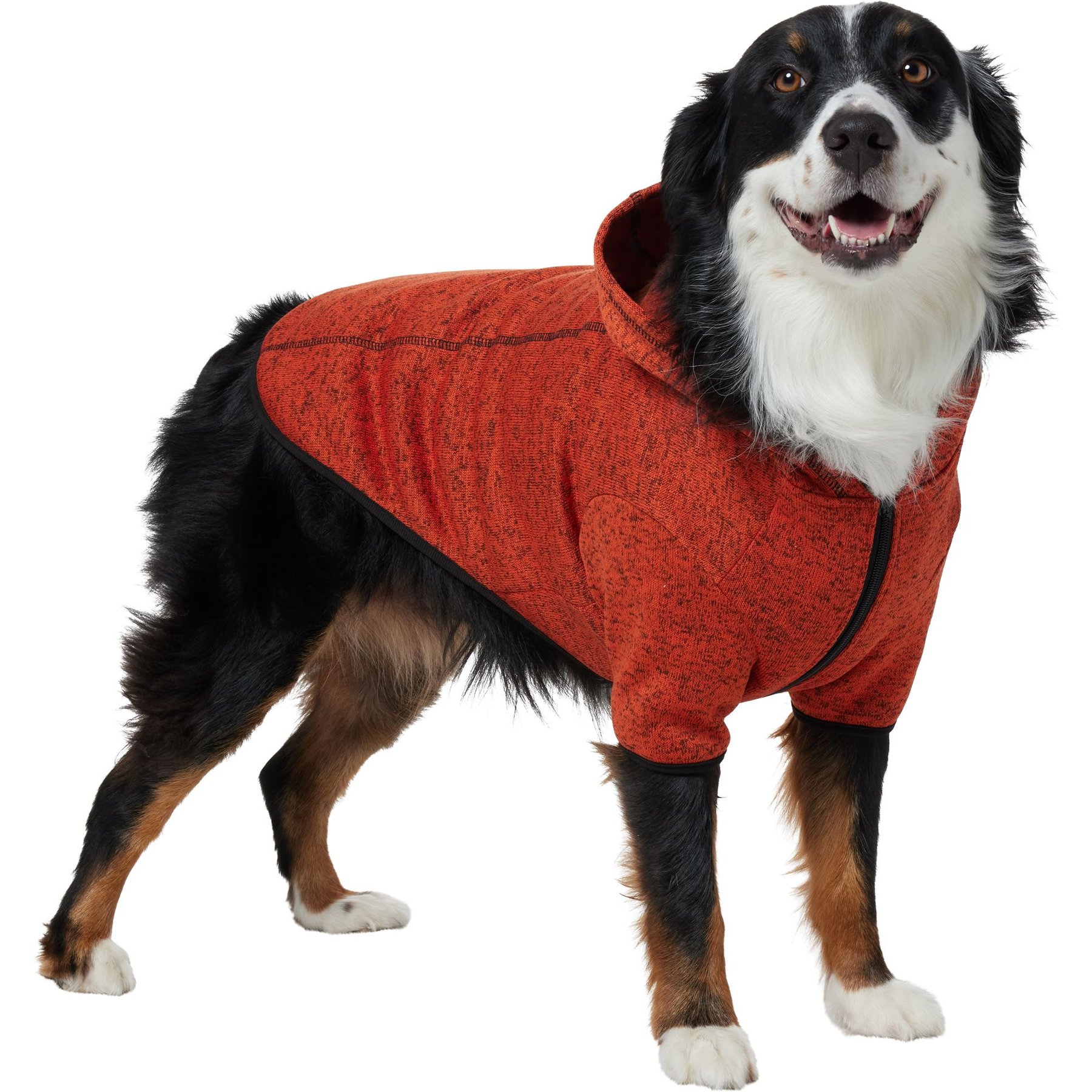 Frisco Full Zip Dog & Cat Sweater Fleece Hoodie, Orange, X-Large