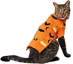 Frisco Funky Bat Knit Dog & Cat Sweater, Small
