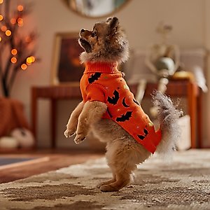 Frisco Funky Bat Knit Dog & Cat Sweater, Small