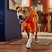 Show in main carousel: Frisco Funky Bat Knit Dog & Cat Sweater, XX-Large slide 6 of 8