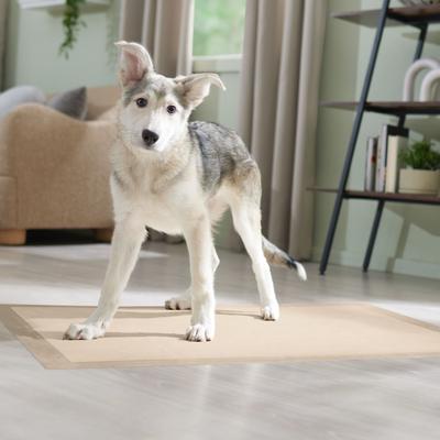 Show full view: Frisco Giant Eco-Conscious Dog Training & Potty Pads, 27.5 x 44-in, Unscented, 100 count slide 8 of 10