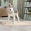 Show in main carousel: Frisco Giant Eco-Conscious Dog Training & Potty Pads, 27.5 x 44-in, Unscented, 30 count slide 7 of 9