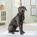 Frisco Giant Premium Dog Training & Potty Pads, 27.5 x 44-in, Unscented, 100 count