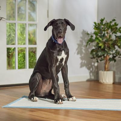 Show full view: Frisco Giant Ultra Premium Non-Skid Dog Training & Potty Pads, 27.5 x 44-in, Scented, 50 count slide 7 of 10