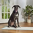 Show in main carousel: Frisco Giant Ultra Premium Non-Skid Dog Training & Potty Pads, 27.5 x 44-in, Unscented, 30 count slide 7 of 10