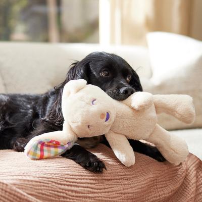 Show full view: Frisco Gingham Bunny Plush Squeaky Dog Toy, Medium slide 5 of 7