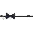 Show in main carousel: Frisco Glitter Cat Collar With Bow, Black, 8 to 12-in neck, 3/8-in wide slide 2 of 5