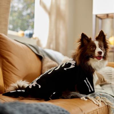 Show full view: Frisco Glow in the Dark Skeleton Dog & Cat Costume, Medium slide 7 of 9