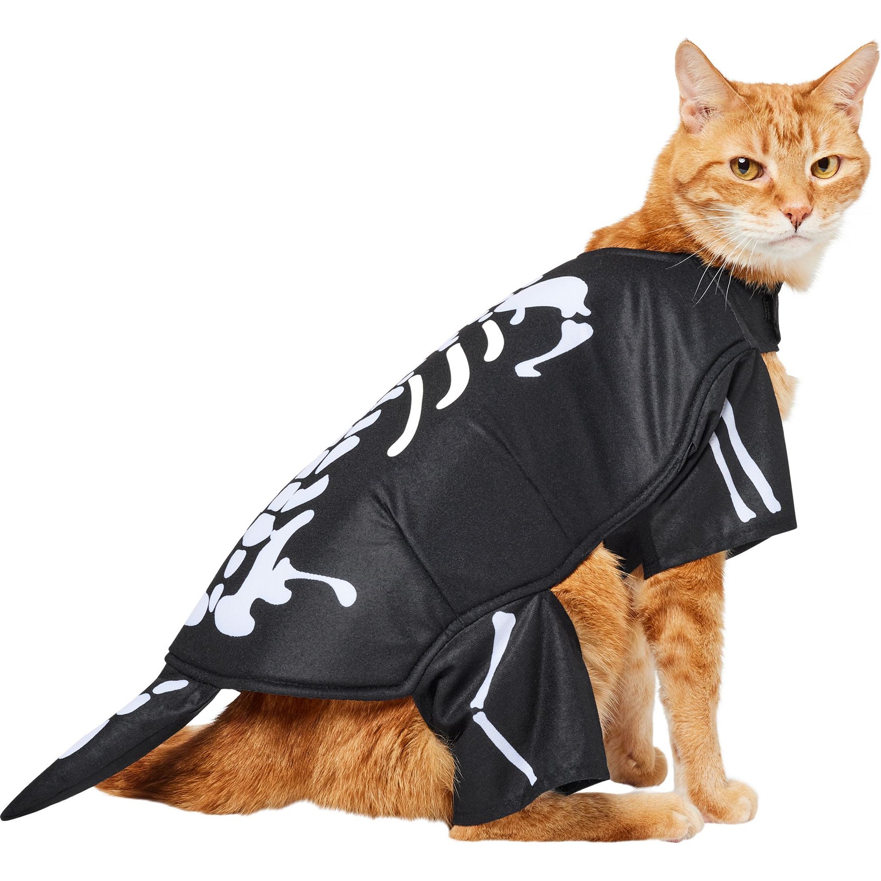 Frisco Glow in the Dark Skeleton Dog & Cat Costume, Small