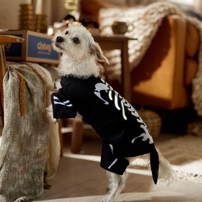 Show full view: Frisco Glow in the Dark Skeleton Dog & Cat Costume, Small slide 7 of 9