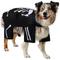 Show in main carousel: Frisco Glow in the Dark Skeleton Dog & Cat Costume, X-Large slide 1 of 9