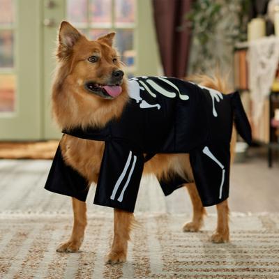 Show full view: Frisco Glow in the Dark Skeleton Dog & Cat Costume, X-Large slide 7 of 9