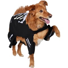Frisco Glow in the Dark Skeleton Dog & Cat Costume, XX-Large
