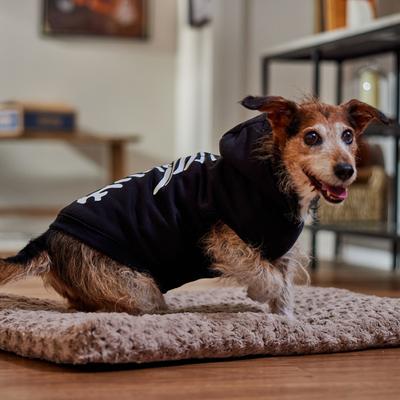 Show full view: Frisco Glow in the Dark Skeleton Dog & Cat Hoodie Costume, Large slide 7 of 9