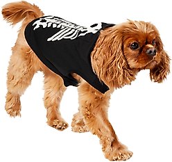 Frisco Glow in the Dark Skeleton Dog & Cat Hoodie Costume, Medium