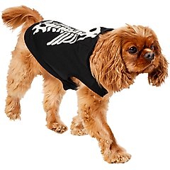 Frisco Glow in the Dark Skeleton Dog & Cat Hoodie Costume, Medium