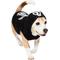 Show in main carousel: Frisco Glow in the Dark Skeleton Dog & Cat Hoodie Costume, Small slide 4 of 11