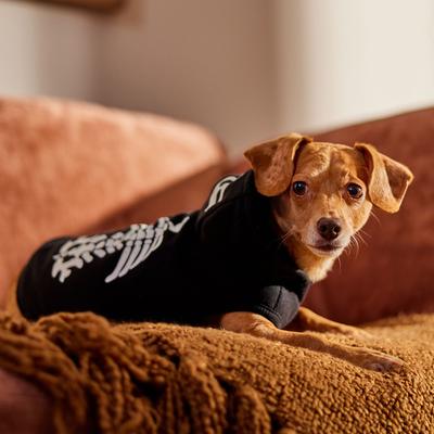 Show full view: Frisco Glow in the Dark Skeleton Dog & Cat Hoodie Costume, Small slide 9 of 11