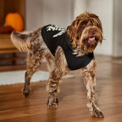 Show full view: Frisco Glow in the Dark Skeleton Dog & Cat Hoodie Costume, X-Large slide 8 of 10