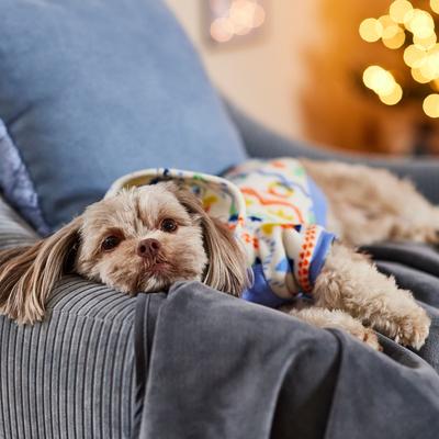 Show full view: Frisco Gnome Fair Isle Dog & Cat Hoodie, X-Small slide 8 of 12