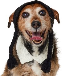 Frisco Gothic School Girl Dog & Cat Costume Accessory, Medium/Large
