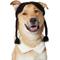 Show in main carousel: Frisco Gothic School Girl Dog & Cat Costume Accessory, X-Large/XX-Large slide 1 of 9